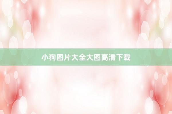小狗图片大全大图高清下载