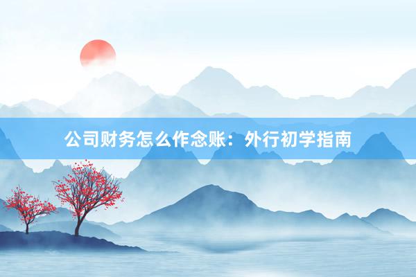 公司财务怎么作念账:外行初学指南